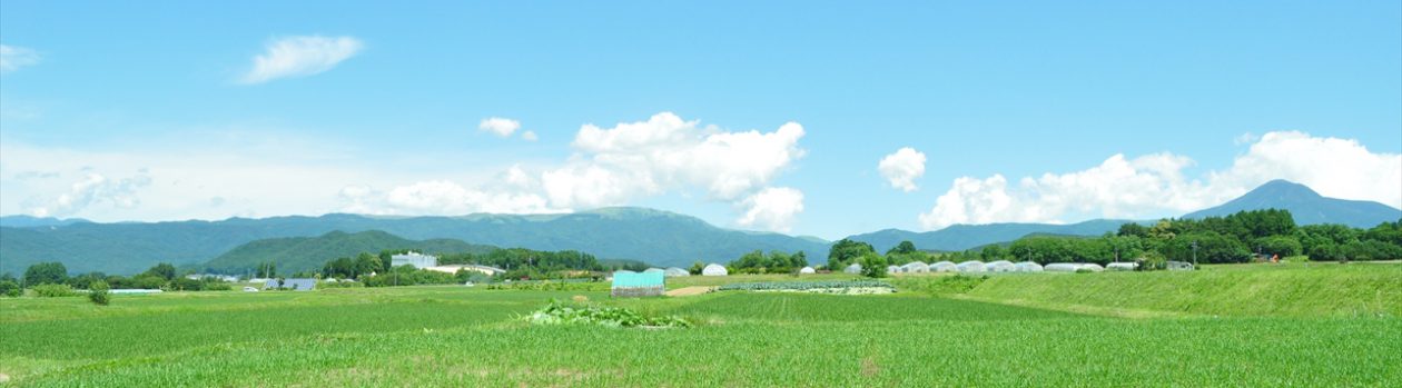 八ヶ岳に住む 茅野 原村 富士見 北杜 移住後の暮らしが見えてくる Part 12